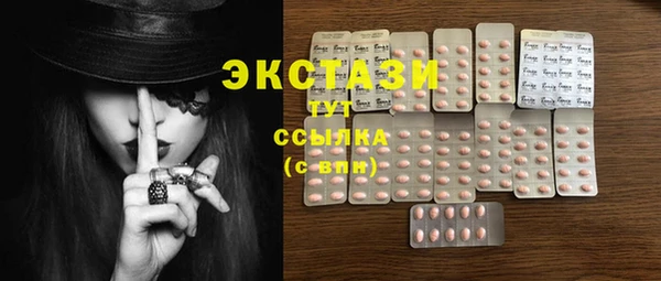 шишки Арсеньев