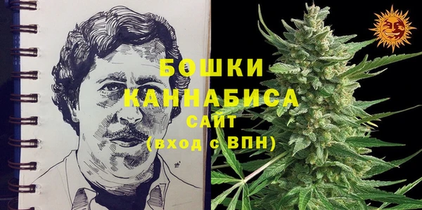 шишки Арсеньев