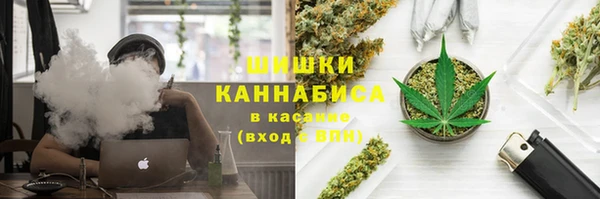 шишки Арсеньев