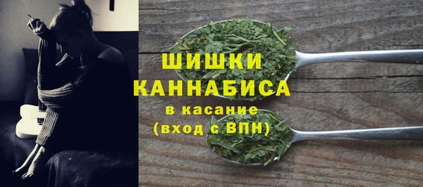 шишки Арсеньев